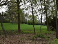 p2014006-Camera View3-v01