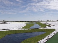 p20006-DDS-Pulte Trails 3D-Progress-20.05.05 04