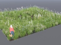 p20006-DDS-Pulte Trails 3D-Progress-20.05.08 03a